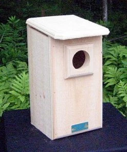 Coveside Screech Owl House Bird Houses