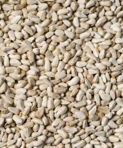 Scarlett Safflower Seed