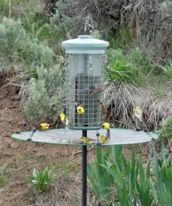 Songbird Essentials The Seed Hoop - Seed Catcher And Platform Bird Feeder
