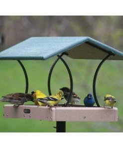 Birds Choice Recycled Fly-Thru Platform Bird Feeder Bird Feeders