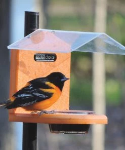 Birds Choice Recycled Pole Mount Oriole Feeder
