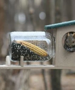 Birds Choice RECYCLED SQUIRREL JAR FEEDER Squirrel Feeders