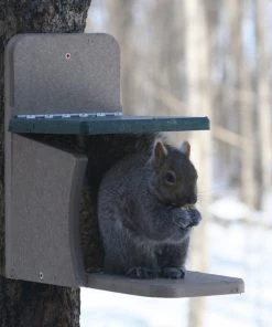 Squirrel Feeders Birds Choice RECYCLED SQUIRREL MUNCH BOX