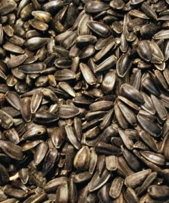 Scarlett Black Oil Sunflower Seed Bird Feeder Accessories