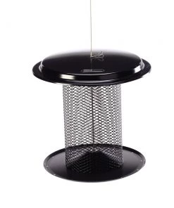 Birds Choice 5 Quart Metal Sunflower Feeder