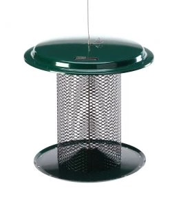 Birds Choice 5 Quart Metal Sunflower Feeder